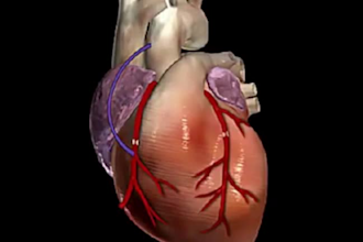 do 3d medical animation, 3d cgi product animation, explainer video, 3d animation
