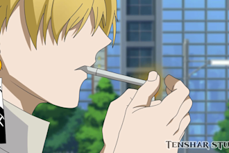 do 2d anime and cartoon style animation