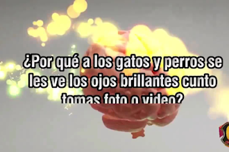 be the voice in latin spanish of your youtube cannel