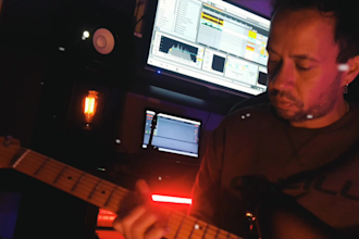 profesional guitarist for rock, pop and blues