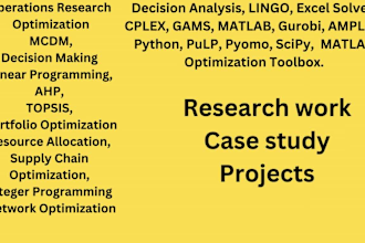 do ampl operations research optimization supply chain projects