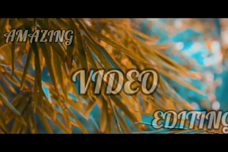 editing any videos to customer needs