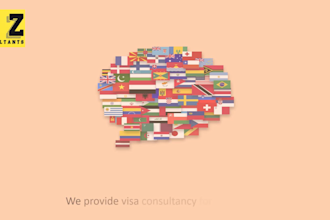 provide a complete visa consultancy for all countries