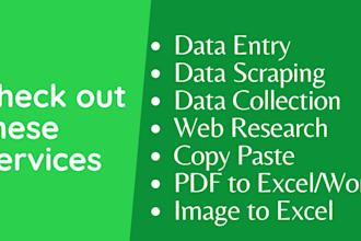 do excel data entry, copy paste, web research, data conversion work