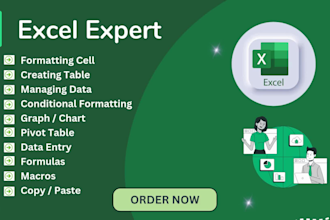 be excel expert in assignment, function, macros, graph, pivot table, format, vba