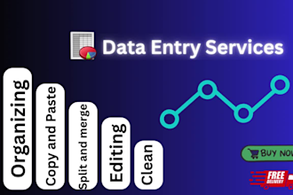 do data transfer and data cleaning really efficiently in promised timeline