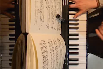 offer piano lessons from beginners to intermediate