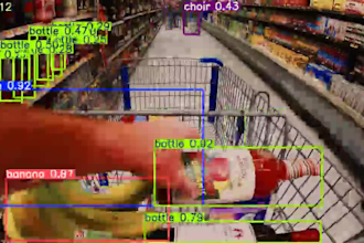 develop a real time object detection model using yolo