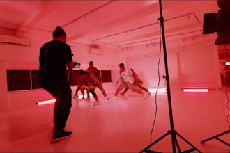 create a professional custom dance video using your song