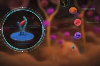 create 3d medical animation,3d medical explainer video
