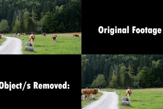 remove unwanted objects text from videos