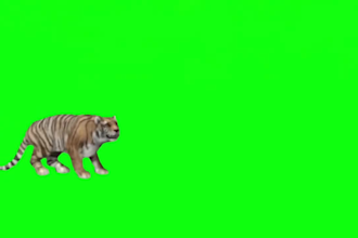 do a perfect video editing for you and remove green screen
