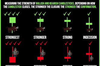 design forex trading tips infographics for your instagram