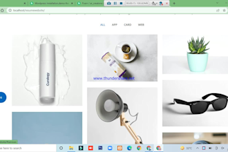 copy, clone, redesign , duplicate wordpress website