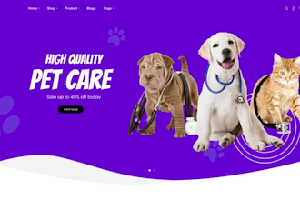 build a modern and creative wordpress website for you