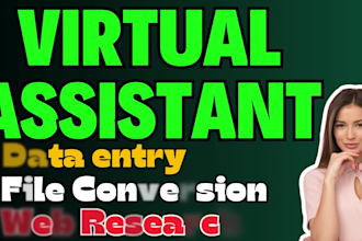 be your virtual assistant for data entry and file conversion