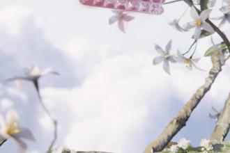 do 3d perfume animation perfume bottle video and HD commercial animation