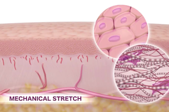 do 3d medical animation, 3d medical anatomy device, 3d product animation