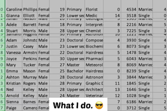 preparing  formulas macros  vba and report in excel 1