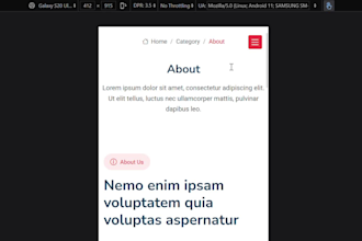 develop responsive and professional reactjs front end web application