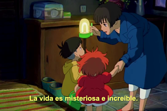 add subtitles to your english or spanish video