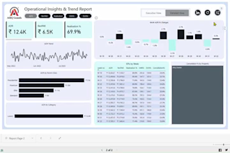 build interactive power bi dashboards and professional reports