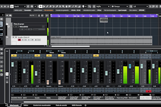 play keyboards, guitar, percussions, sing, etc