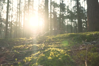 make meditation, calming and relaxing music