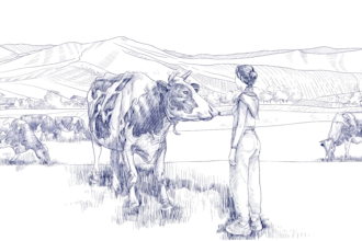 do 2d line art animation, frame to frame 2d hand drawn 2d animation video