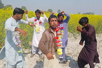 do funny style happy birthday african video or indian spokpersons