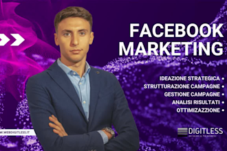 manage facebook ads and instagram ads, marketing campaign