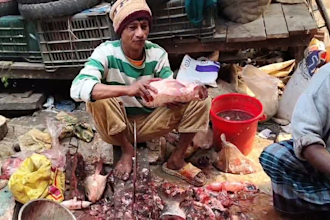 provide rural fish cutting photos and videos for youtube
