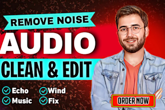 do audio editing, remove noise, echo, wind, repair, and clean audio