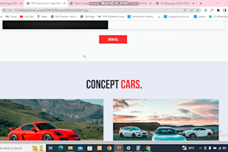 develop a responsive wordpress website design