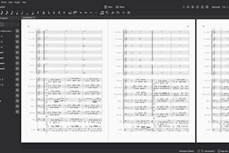 make a orchestration or solo transcription for your song