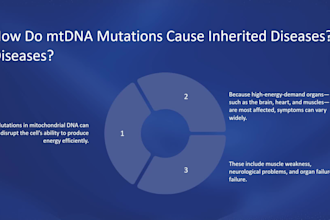 design educational or medical powerpoint slides