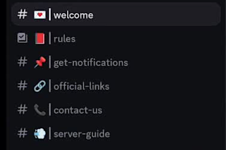 setup custom discord server professionally