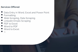 do data entry in excel spreadsheet and in word file