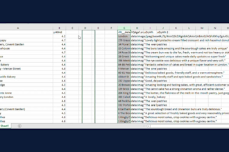 extract, input and organize data in excel