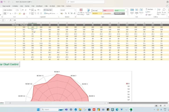 provide ready made template for excel radar chart with vba fully automated
