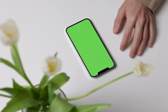 professionaly screen replacement with or without greenscreen
