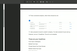 audit  google ads for ecommerce and websites
