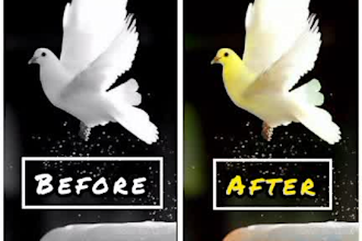 do photo retouching color enhancement and blur removal