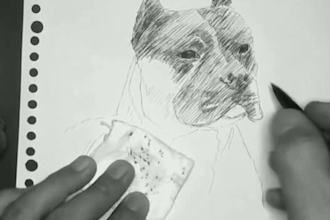 draw a realistic pencil drawing pet sketch in 24 hours