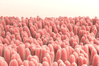 create 3d medical animation for drug moa biotech pharma product explainer video