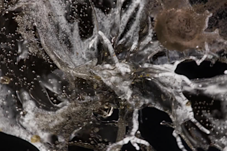 create 4k houdini based 3d abstract looping animations and motion graphics art