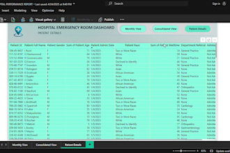 build interactive power bi dashboards and data visualizations with dax