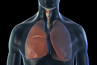 create 3d medical animation 3d surgery animation anatomical illustration