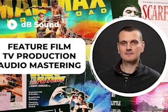 professionally mix and master audio for feature films and tv productions
