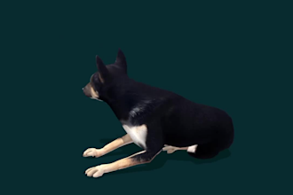 create 3d animal model, character modeling,xgen grooming,3d pet,animal animation